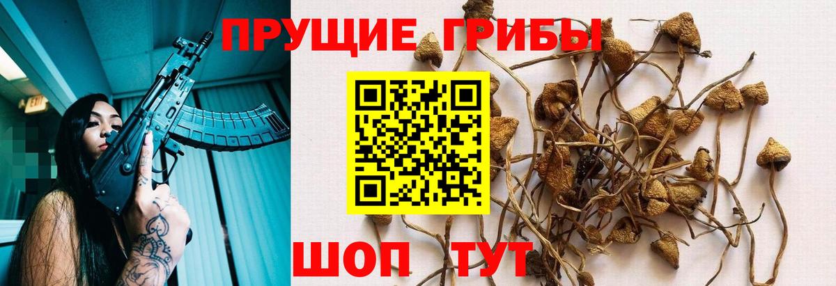 Галлюциногенные грибы ЛСД  Вход с VPN  Псилоцибиновые грибы MAGIC MUSHROOMS  Мурманск 