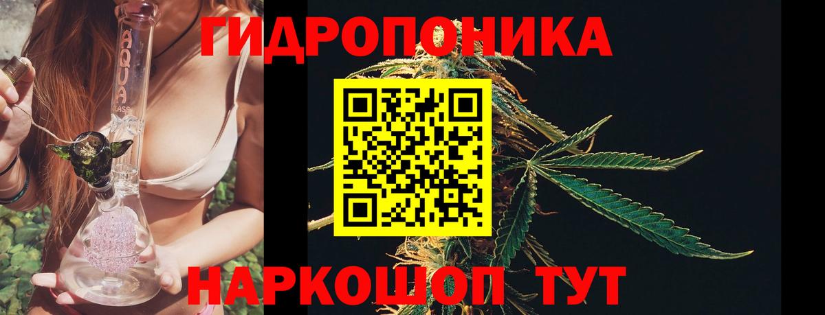 Бошки Шишки марихуана  Вход с VPN  МАРИХУАНА план  Мурманск  Марихуана LSD WEED 
